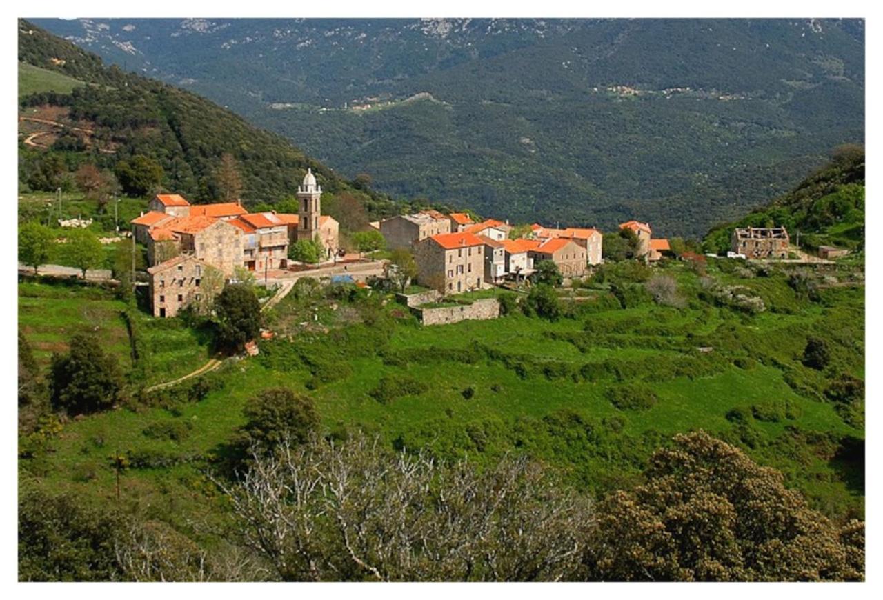 Casadimela Villa Porto-Vecchio  Exterior photo